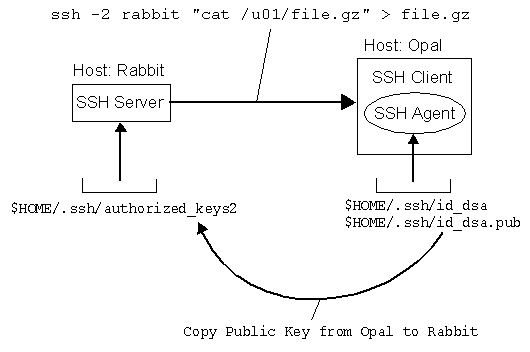 Ssh client server Ssh client server