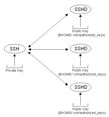 Openssh Rsa Openssh Rsa